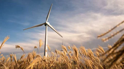 impact-environnemental.jpg