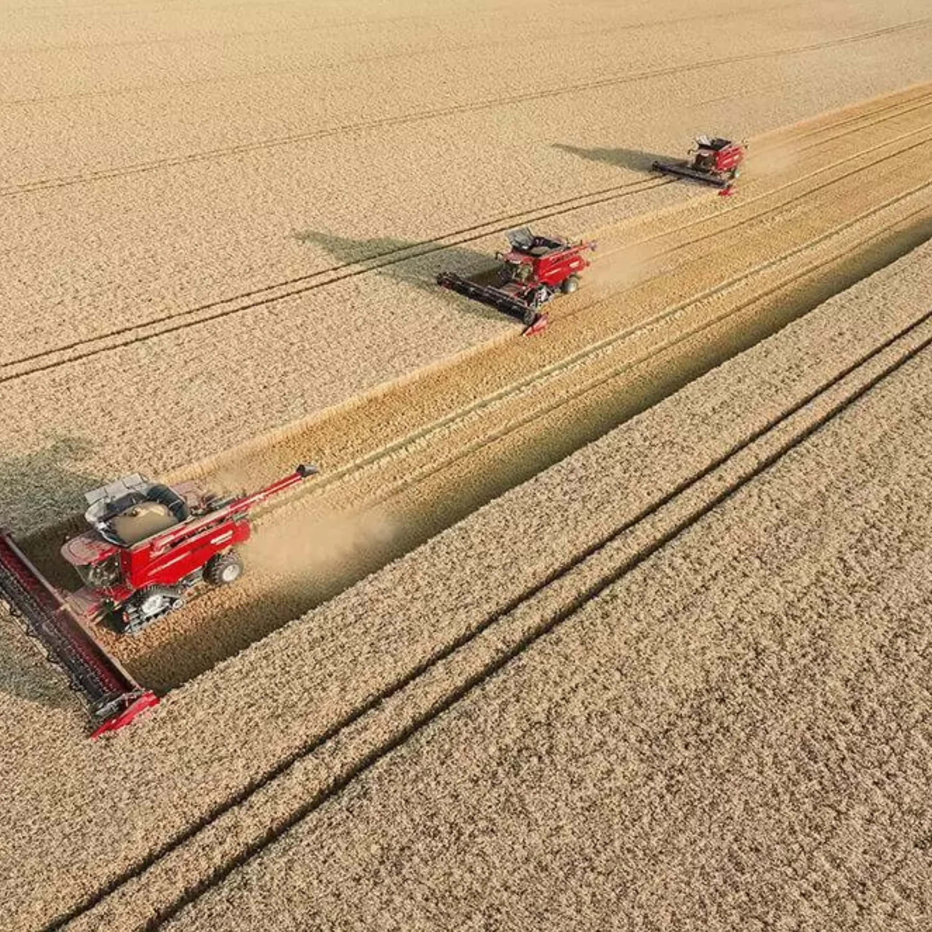 qualite-de-grain-qualite-3.png