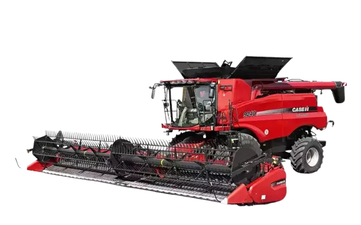 tapis-4.png